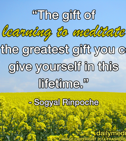 Meditation Quote 40: “The gift of learning to meditate is the greatest gift you can give yourself in this lifetime.” – Sogyal Rinpoche