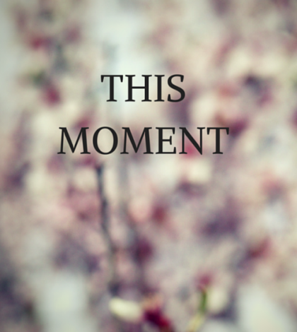 Meditation Quote 84: “Only this actual moment is life.” – Thich Nhat Hanh