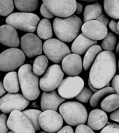 The Pebble Meditation Technique, Featured Article
